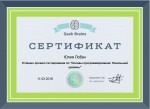 Сертификат о прохождении теста "Основы программирования."